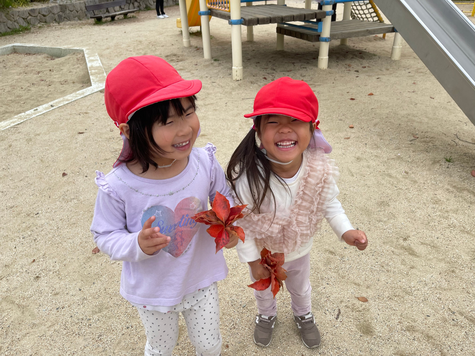 保育に関する考え